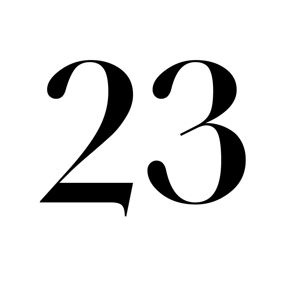 Article twenty three